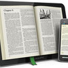 もう電子書籍なしでは生きられない。