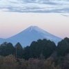 今朝の景色