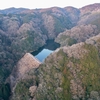 奥谷上池（岡山県久米南）