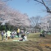 みみずく反省会