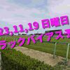 2023,11,19 日曜日 トラックバイアス予想 (東京競馬場、京都競馬場、福島競馬場)