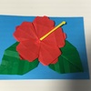 折り紙教室で、ハイビスカスと箱を作りました。