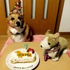 happy birthday ペコo(^o^)o