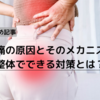 腰痛の原因とそのメカニズム：整体でできる対策