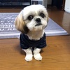 遺品整理は意外に安く済むかも？
