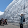雪の大谷～岐阜の旅2024GW③～みくりが池の雷鳥と雪の大谷ウォーク