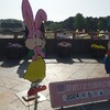 【ひたち海浜公園】7時開園にあわせて5時起き。もうすごい人！常陸那珂港インターチェンジからがオススメです。
