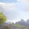 ARK: Survival Evolvedの専用サーバ構築手順 (Ubuntu22.04)