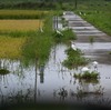 台風6号の後