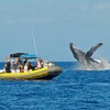 ハワイ諸島の島々をご紹介☆～その③マウイ島～