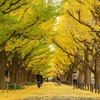 東京の秋🍁