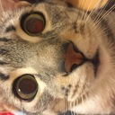 目指せツヤ肌！ツヤ肌になるための美容ブログ