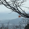 風邪と花粉症の季節