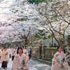 金刀比羅宮