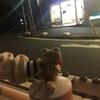 ベランダ立って胸を張れ