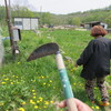 風の旅人の編集は後日。北海道のみりょく満載！！は大げさかな？