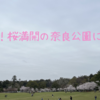 そうだ！桜満開の奈良公園に行こう