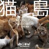 【猫島】愛媛県・大洲市の「青島」