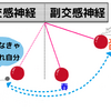 うつっぽい春の過ごし方