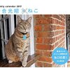 来年のカレンダーは「猫カレンダー」にしたいと思ったら正直困った。