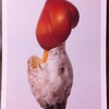 きのこ写真展