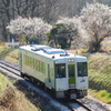 白梅をバックに1両で走る八高線キハ110系