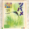 ツバメと電柱と鳥の本を読んだ