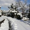 またまた雪