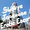  Japanese Erotic Escort Club Guide