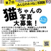 9月写真展にむけて猫ちゃん写真募集中