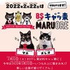 今日は ニャンニャン 2月22日は「猫の日」！「BSテレ東7ch」は「BSキャッ東」になる
