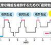 寝てる間に3～4回くらいは勃起するらしいぞ