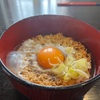 庭猫ちゃんのお友達