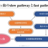 心不全を科学する心不全