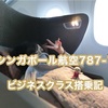 シンガポール航空787-10搭乗記〜機内編・座席から機内食まで写真多めレポ