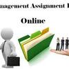 Uplift Your Academic Scores With Management Assignment Help Online Solutions 