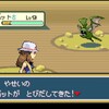 【ポケモンFRLG攻略】間違った遊び方「vsオーキド　色違い図鑑登録の戦い」