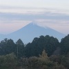 今朝の景色