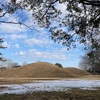 鉄砲山古墳 (再訪)  行田市埼玉