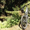 山へ。。。。。。。久々、怖々　　2016-5-21