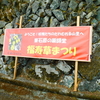 土佐町峯石原の福寿草まつりに行ってきました