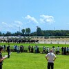 新潟競馬
