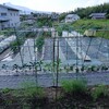 実家の畑で農作業でした