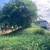 鉄砲塚古墳  千葉市花見川区幕張本町