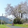 今朝は農免道路を北上