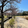 桜 ロケハン ─ 稲荷公園 ─