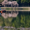 野守の池（静岡県川根）