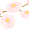 ☆フォークがすすむ♪タイと水菜の和風スパゲティ☆
