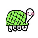 しゅうかめのなんかの記録
