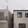 雨だか雪だか